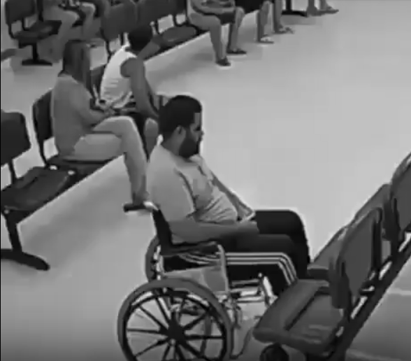 🇷🇺 Чудеса на четырёх лапах