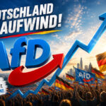 Aufwind AfD