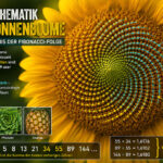 Mathematik 1-k