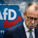 MERZ AfD